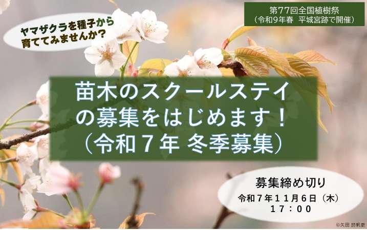 【募集終了しました】苗木のスクールステイ（令和7年度冬季開始分）の参加施設の募集をはじめます！