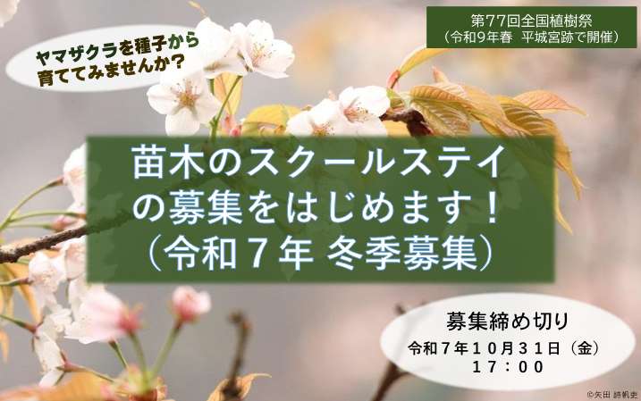 苗木のスクールステイ（令和7年度冬季開始分）の参加施設の募集をはじめます！